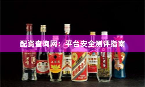 配资查询网：平台安全测评指南